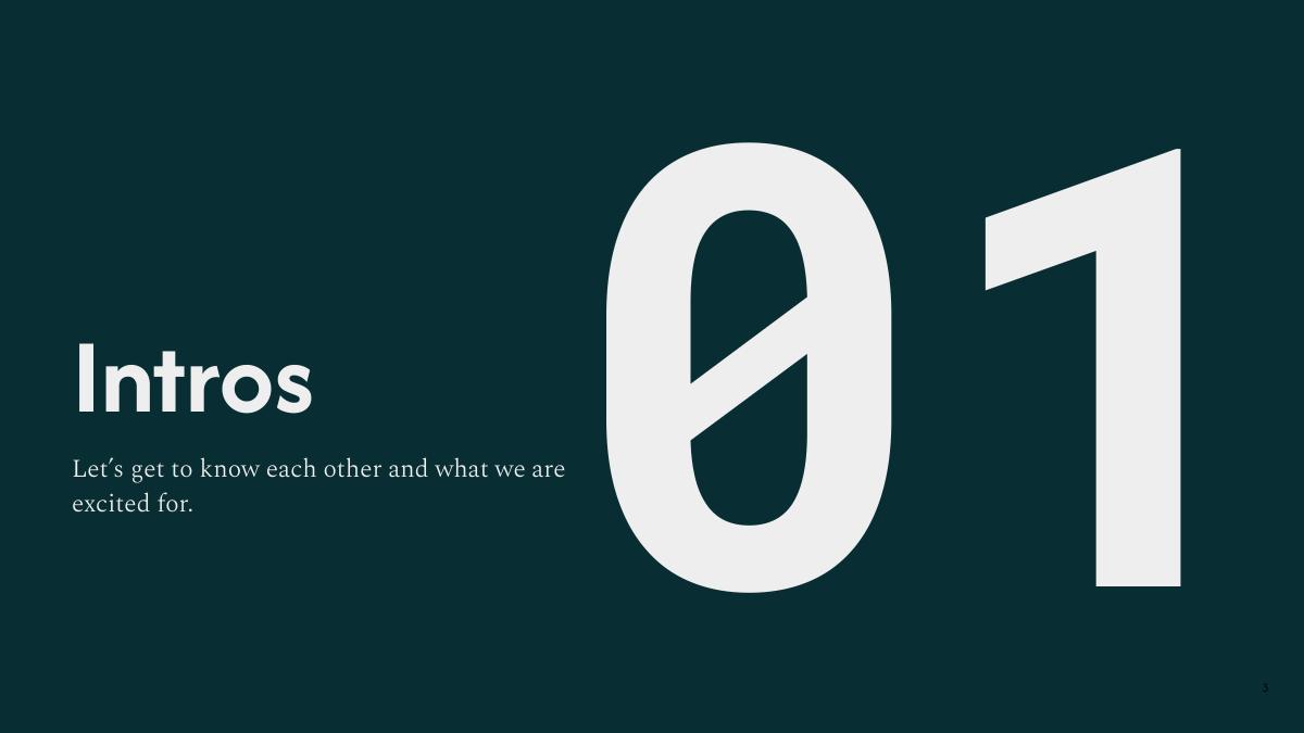 HUD fraud analytics kickoff deck — slide 3 of 15