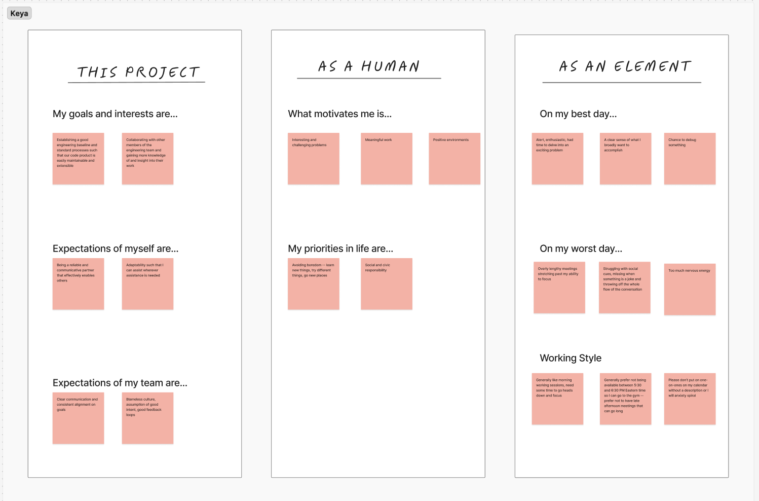 Team user manuals: goals, motivations, and working styles